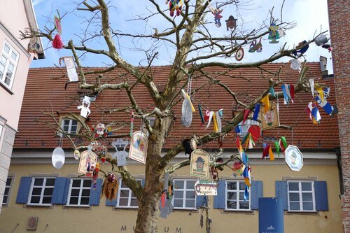 Veranstaltung Narrenbaumschmücken